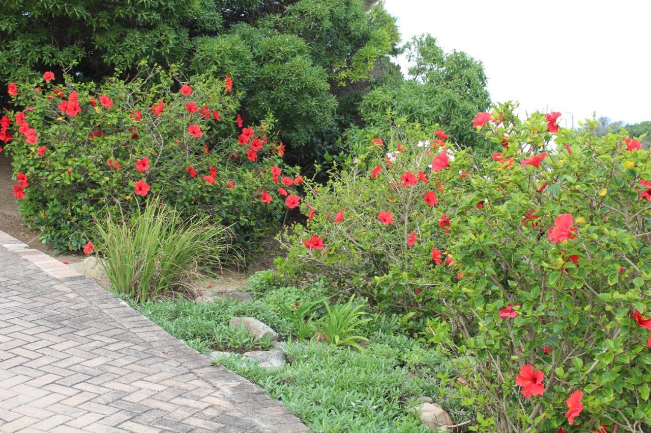 Beach Break B&B Port Alfred Exterior photo